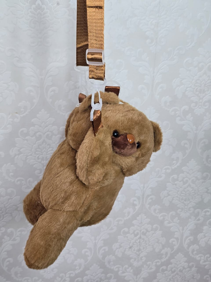 Carterita Bolsito Nenas Niñas Infantiles Oso Peluche Variedad Calidad Accesorios - D_NQ_NP_735907-MLA94341736636_102025-F.jpg