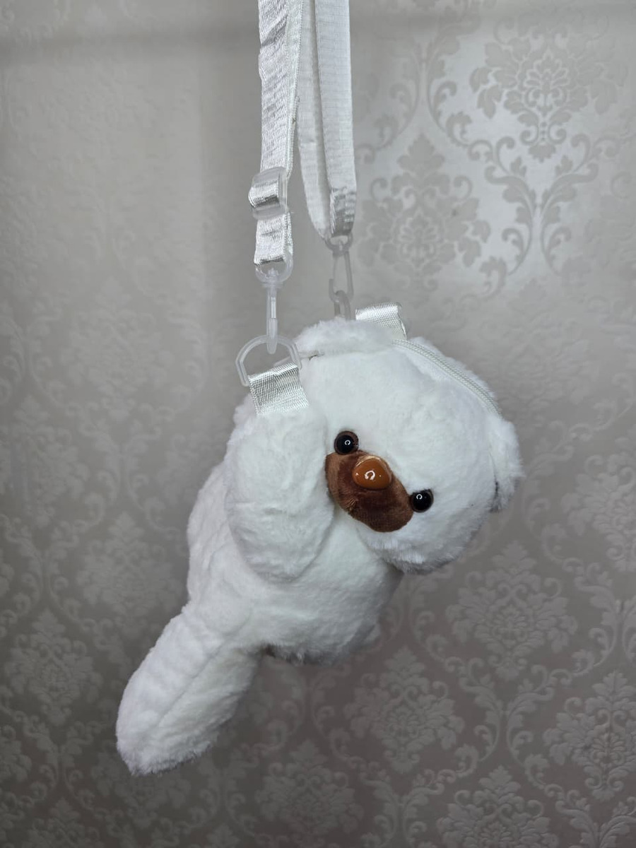 Carterita Bolsito Nenas Niñas Infantiles Oso Peluche Variedad Calidad Accesorios - D_NQ_NP_778563-MLA94341478222_102025-F.jpg