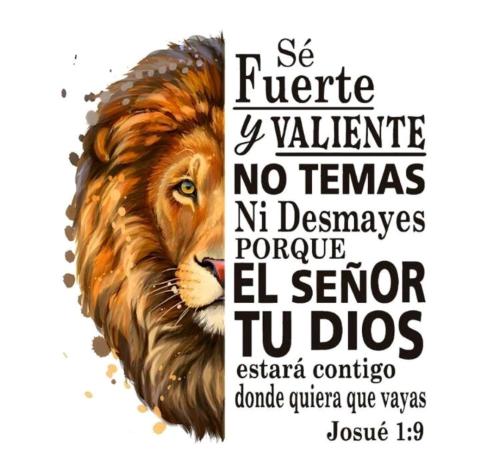 Remeras Estampadas  Premium - Miniatura 6