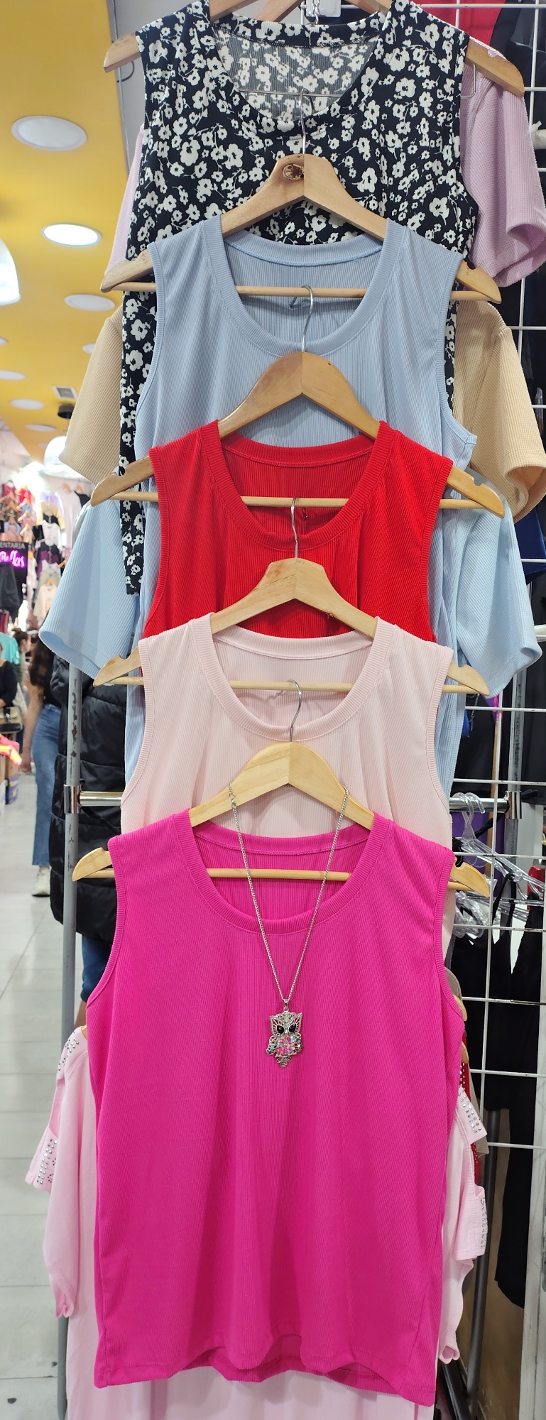 Musculosa de Morley - Imagen 2