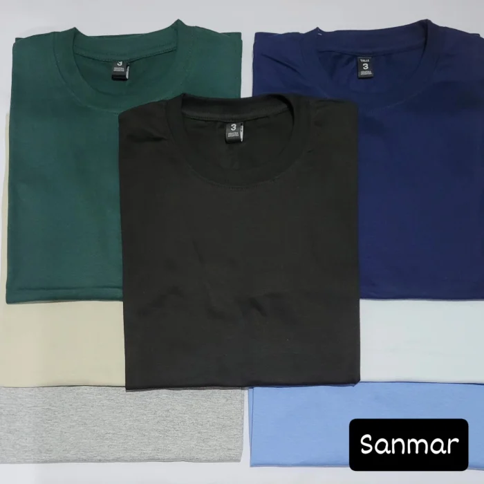 Remeras  Lisas Jersey Algodón Peinado 24/1
