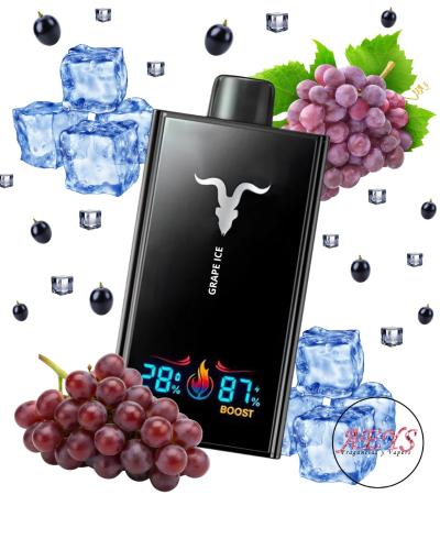 Vaper Ignite V300 30.000 Puffs