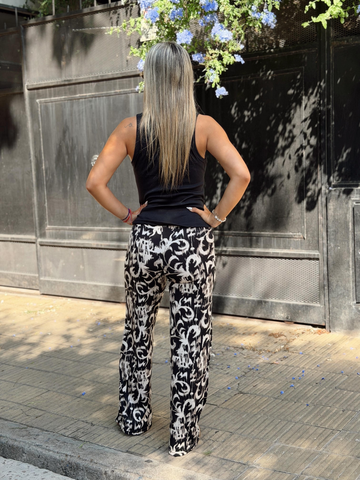 Palazo Morley Liviano - Imagen 4