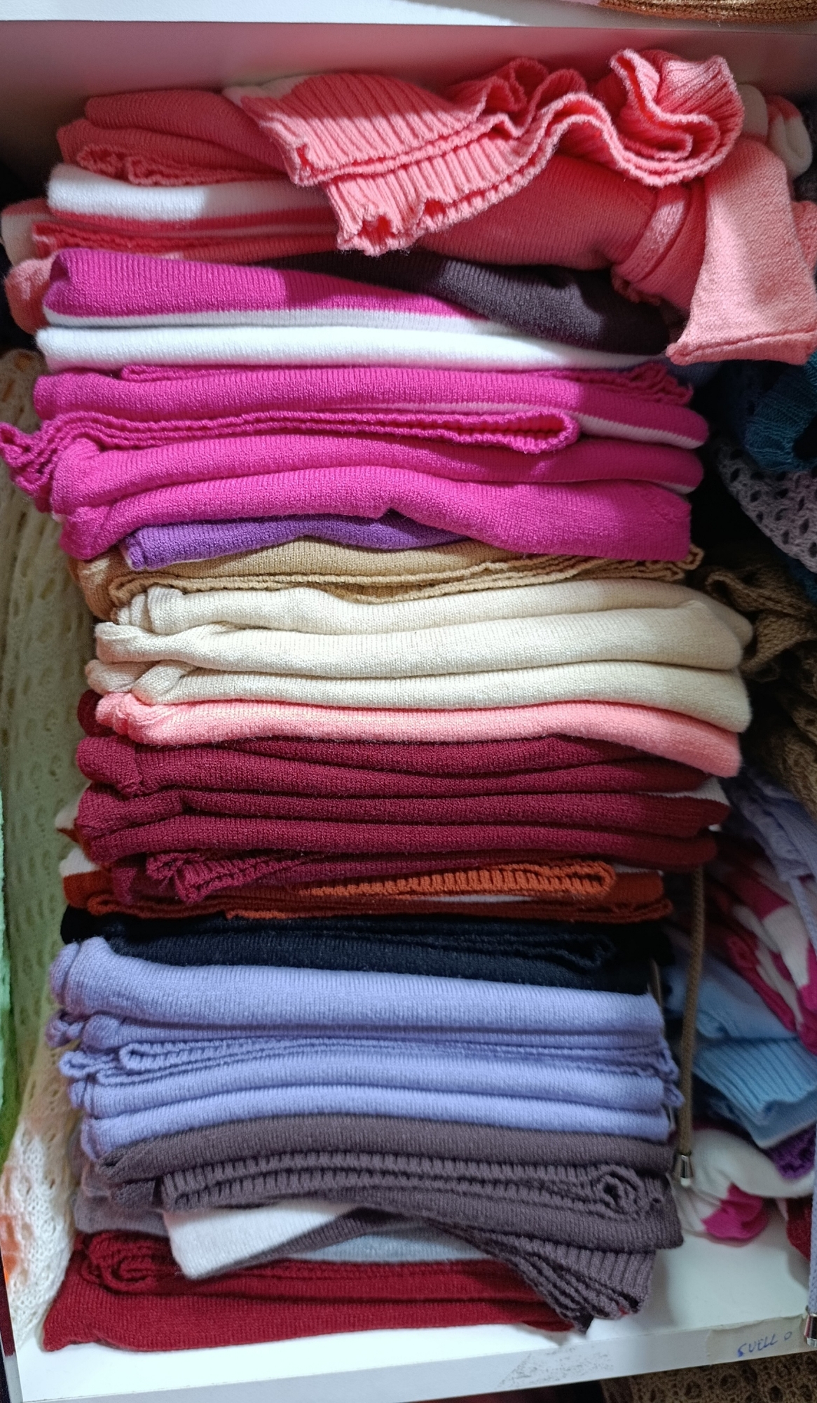 Musculosa de Bremer - Imagen 2