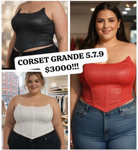 Corset Talles Especiales Corset Grandes!!!