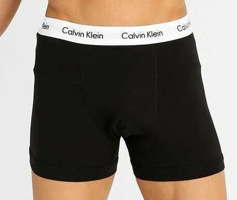 Boxer Calvin
