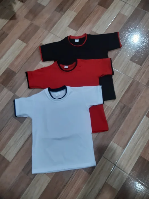 Remera Lisas Combinado en la Manga