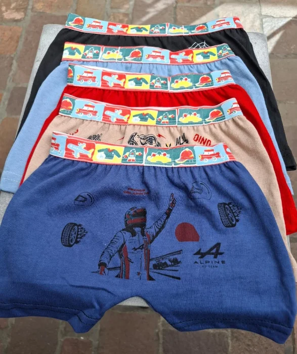 Boxer de Niño Economico