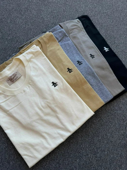 Remera Pingui