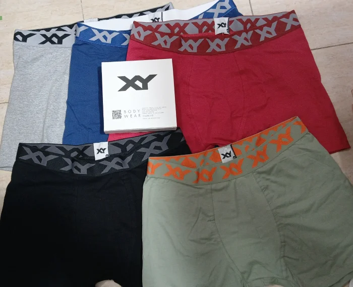 Boxer Xy