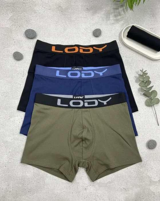 Bóxer Lody Liso