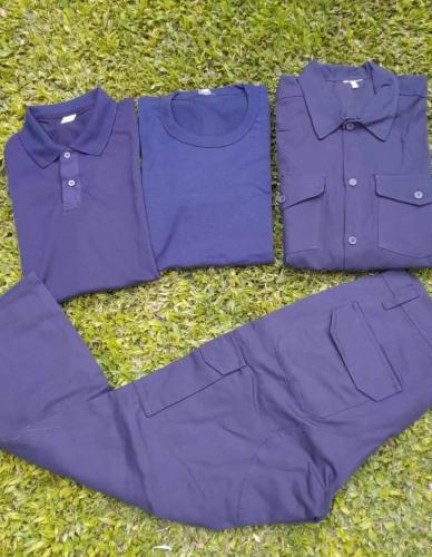 Conjunto de Trabajo