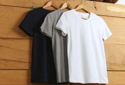 Remeras Lisas Hombre