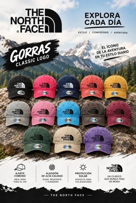Gorra Vintage Tnf