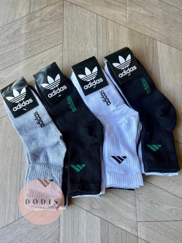 Tenis Marca Docena