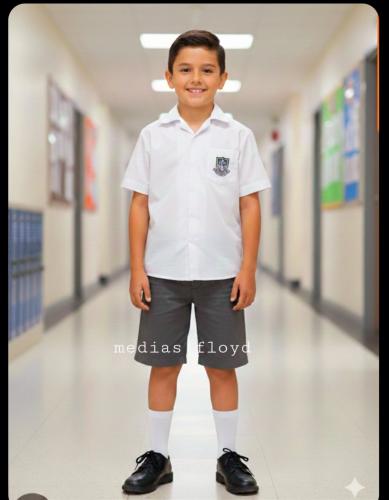 Media Colegial - Miniatura 2