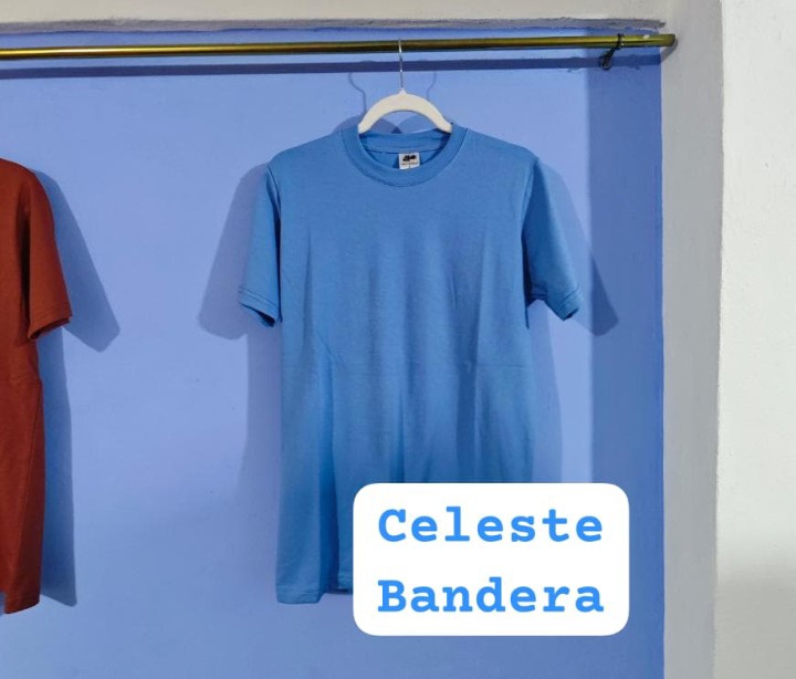 Remeras Lisas Algodón Premium - Imagen 2