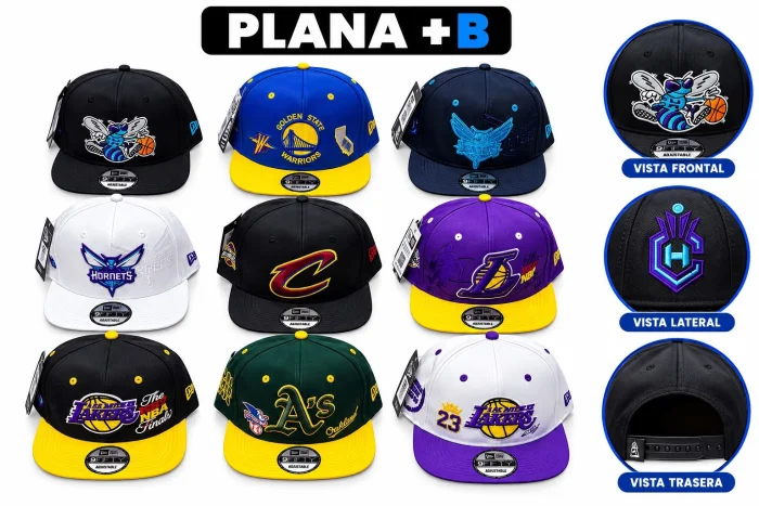 Plana Regulable +b