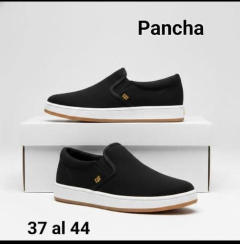 Art Pancha Cat