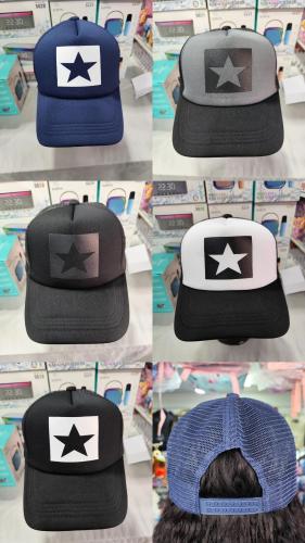 Gorras Camionera