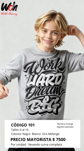 Cod: 101 Remera Manga Larga Algodon Peinado Talles 6 al 16 $ 7500