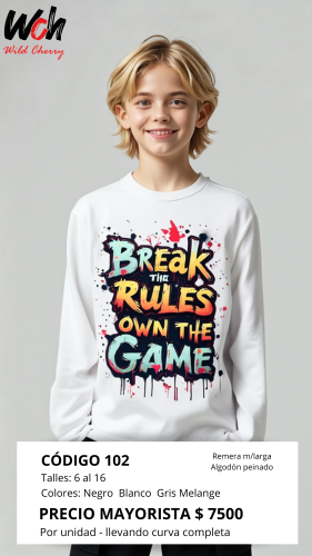 Cod: 102 Remera Manga Larga Algodon Peinado Talles 6 al 16 $ 7500