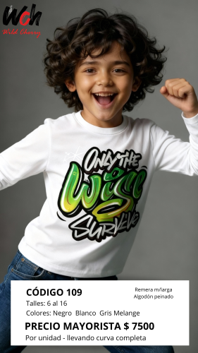 Cod: 109 Remera Manga Larga Algodon Peinado