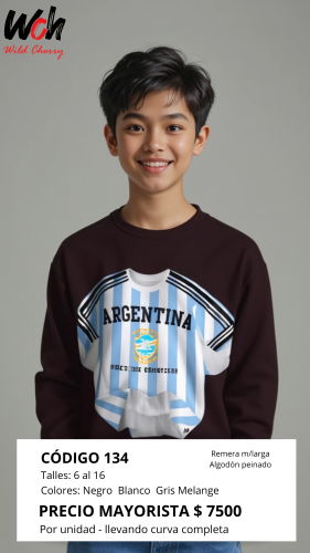 Cod: 134 Remera Manga Larga Algodon Peinado