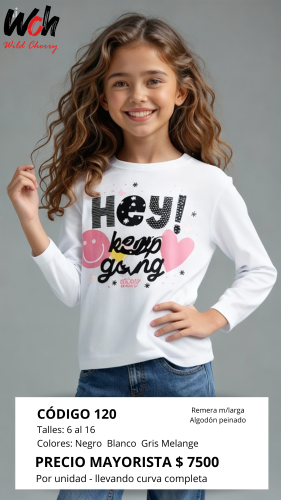 Cod: 120 Remera Manga Larga Algodon Peinado