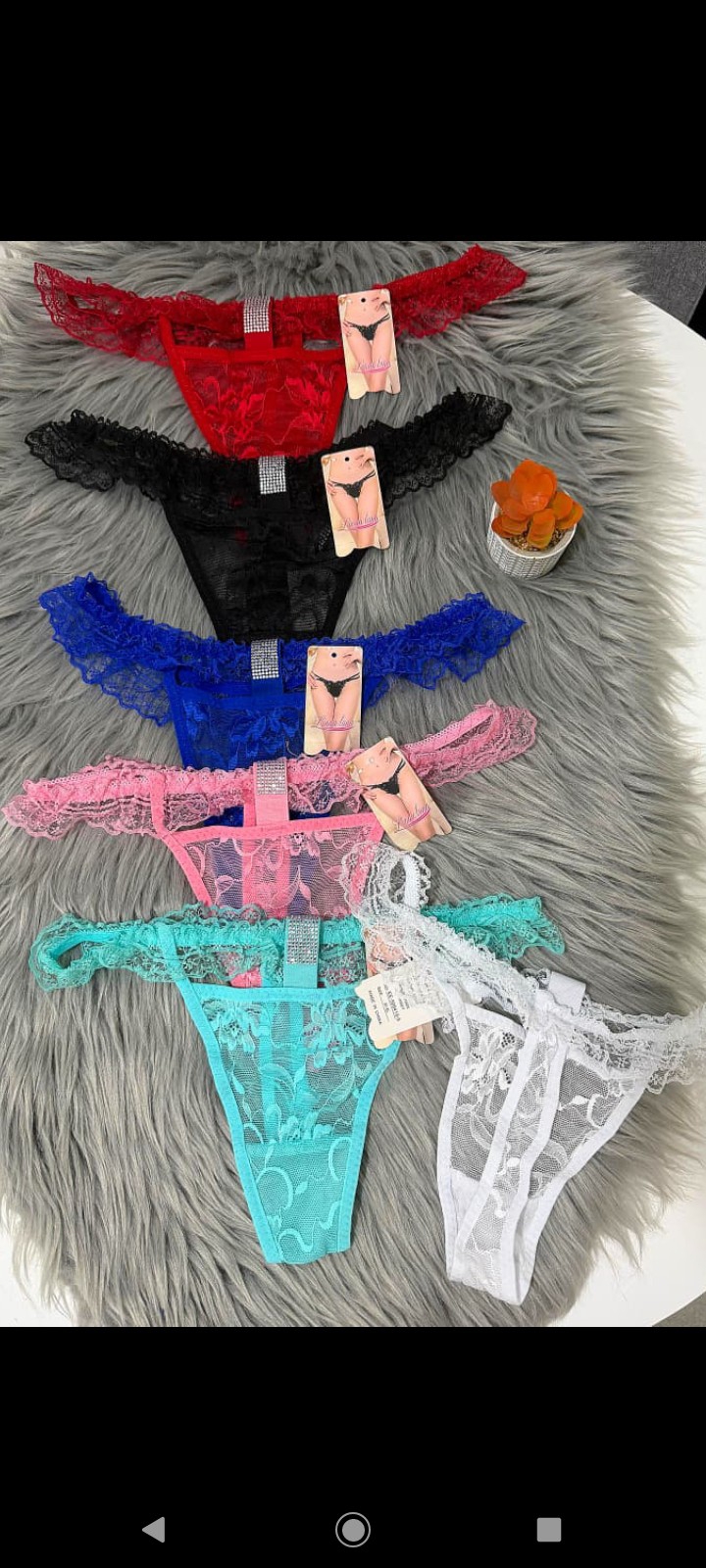 Colaless Erotica - Imagen 2
