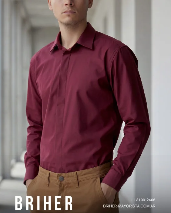 Camisa de Vestir Colores