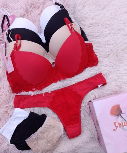 Docena Conjunto Armado con Aro