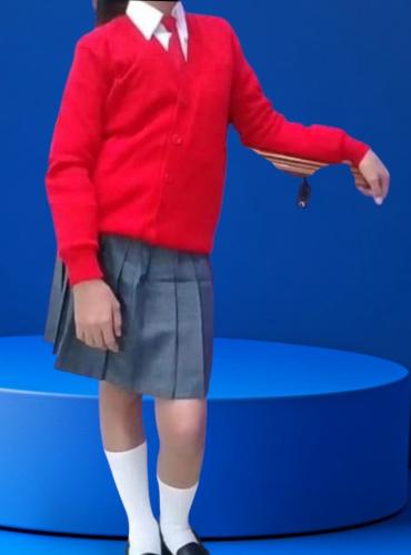 Sweters Escolar Niños y Adultos