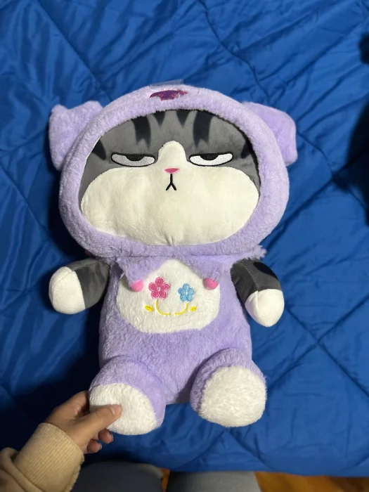 Peluches  Grandes con Manta