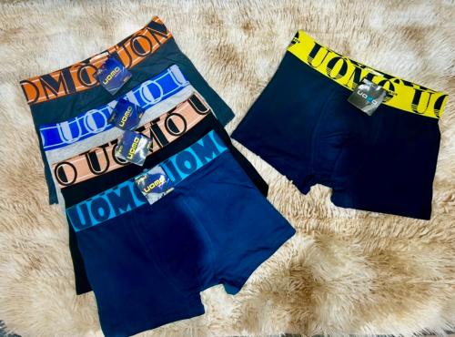 Boxer  Uomo  Adulto