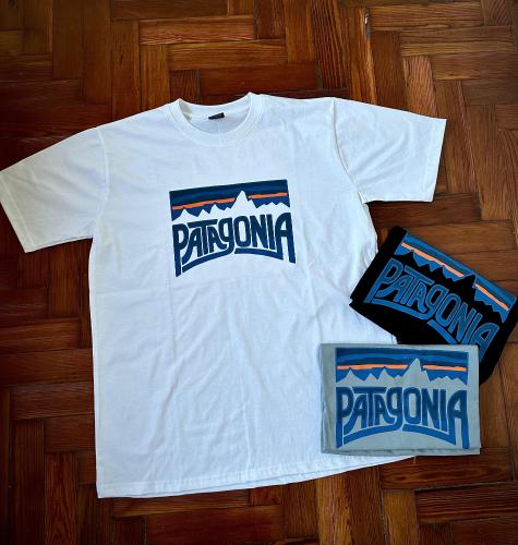 Patagonia Remeras Clásica