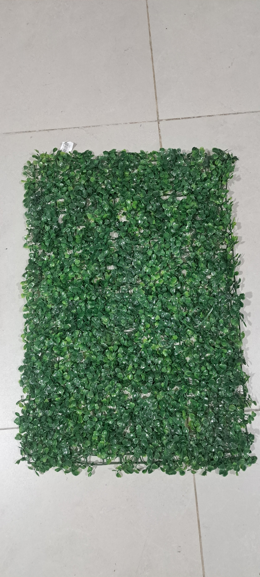 Pasto Decorativo 45x70 - Imagen 2