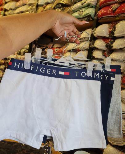 Boxer Tommy X Docena