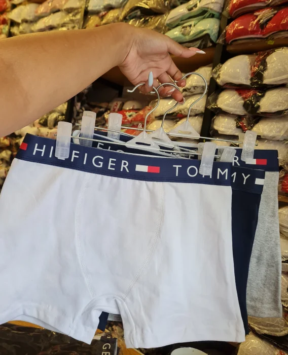 Boxer Tommy X Docena