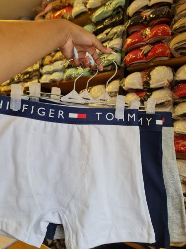 Boxer Tommy X Docena - Miniatura 2