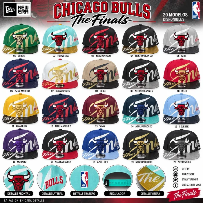Chicago Bulls The Finals