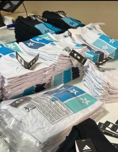 Remeras Argentina Estampada (l) - Miniatura 3