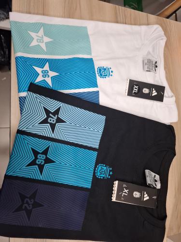 Remeras Argentina Estampada (l) - Miniatura 5