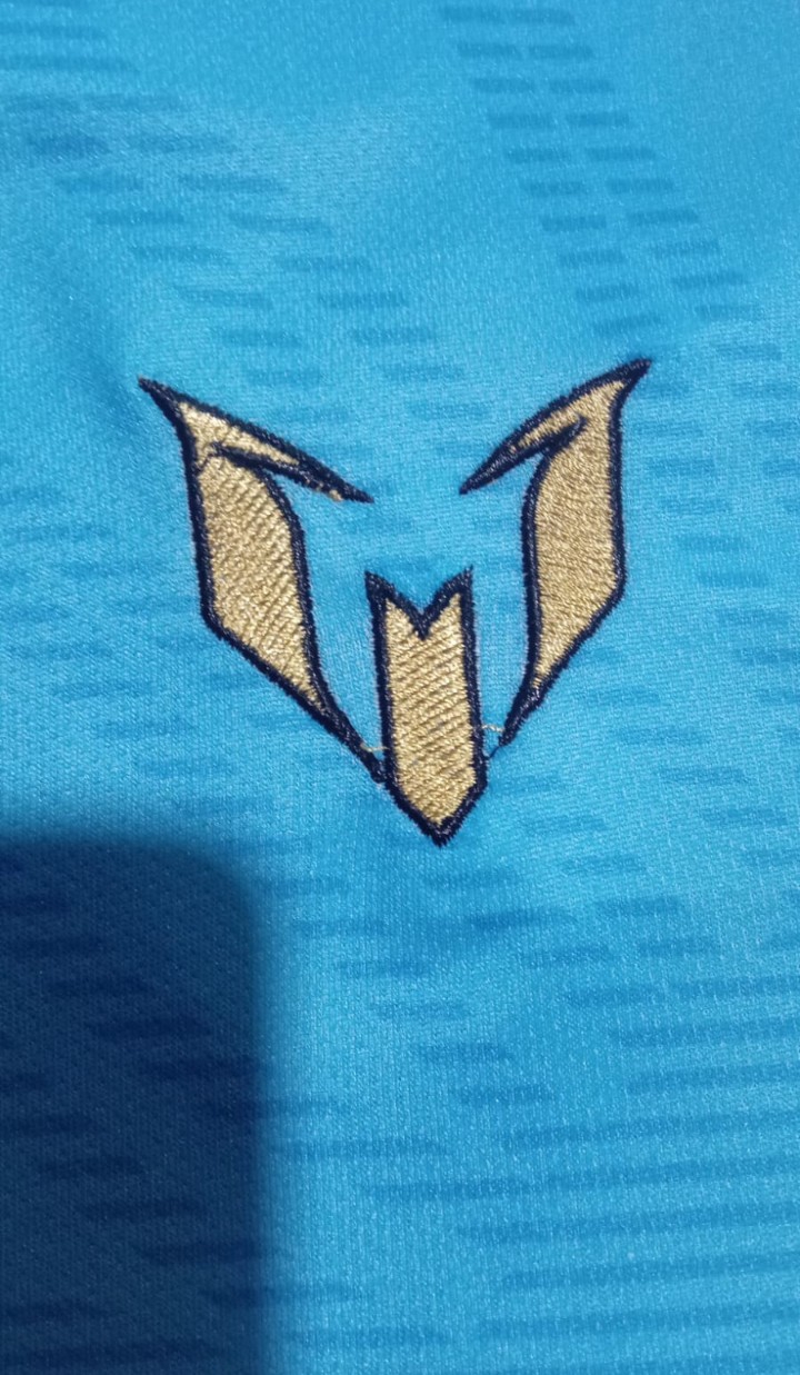 Camiseta Afa Messi Despedida - Imagen 3