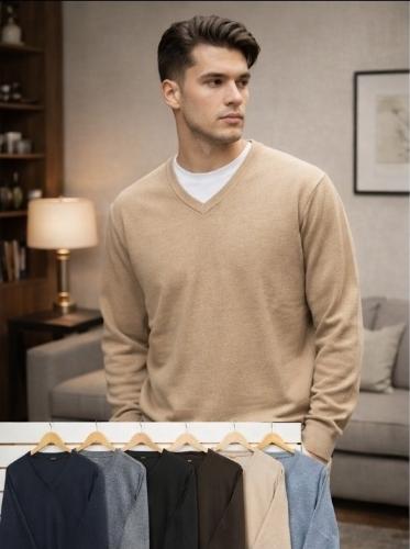 Sweater Cuello V Bremer Importado ( N )