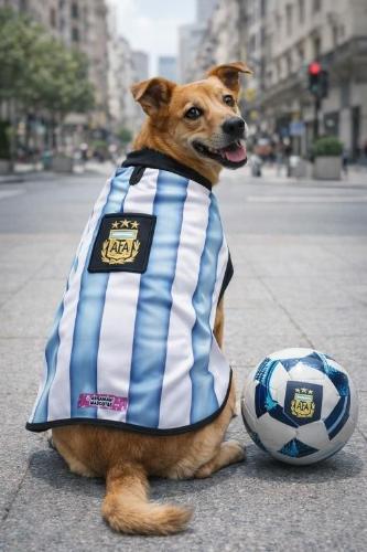 Camiseta Argentina Mascota Mundial 2026(ver Tabla de Talles y Precios) - Miniatura 2