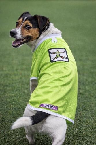 Camiseta del Dibu para Mascotas (ver Tabla de Talles y Precios) - Miniatura 2