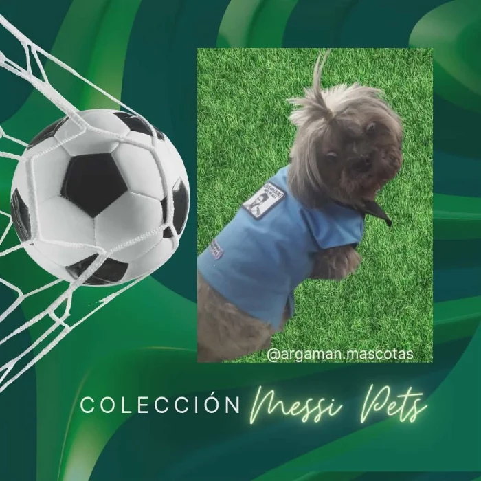 Chomba Messi para Mascotas