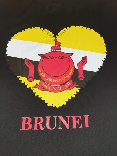 Remeras Importadas Brunei - Miniatura 2