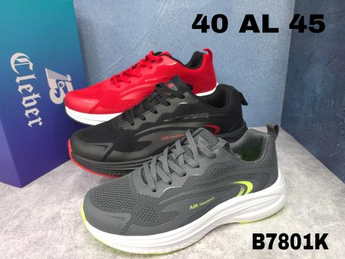 Zapatillas
